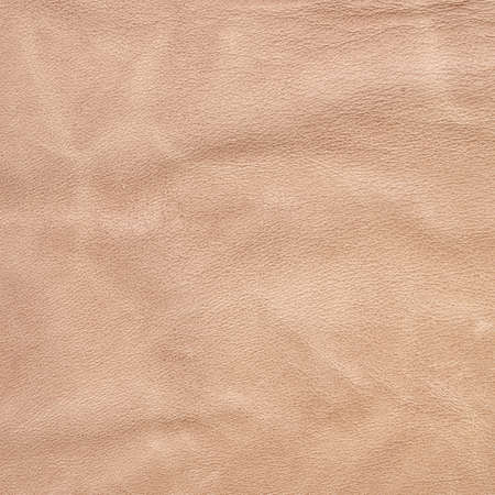 Light brown, rough, crumple leather texture for background use.の写真素材