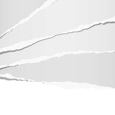 White horizontal ripped strips, note paper for text or message.のイラスト素材