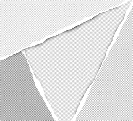 Torn squared grey paper in corners are on background with space for text. Vector illustrationのイラスト素材