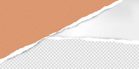 Torn squared orange paper in corner are on white background with space for text. Vector illustration.のイラスト素材