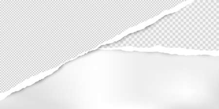 Torn squared grey paper in corners are on white background with space for text. Vector illustration.のイラスト素材