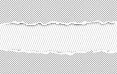 Torn squared white horizontal paper strips are on lined background with space for text. Vector illustration.のイラスト素材