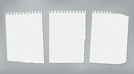Torn white, squared and lined note, notebook paper pieces stuck on grey background. Vector illustrationのイラスト素材