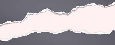 Torn, ripped pieces of horizontal dark grey paper with soft shadow, background for text. Vector...