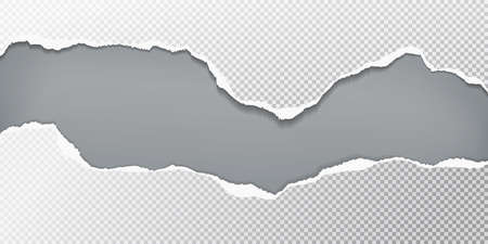 Torn, ripped pieces of horizontal squared paper with soft shadow are on grey background for text. Vector illustrationのイラスト素材