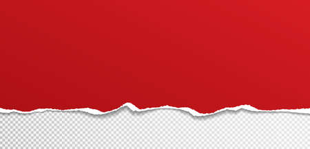 Torn, ripped piece of horizontal red paper with soft shadow is on white squared background for text. Vector illustrationのイラスト素材
