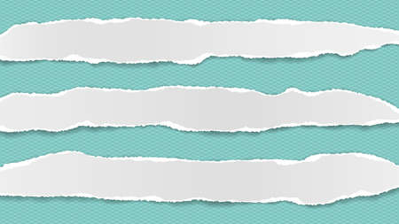 Pieces of torn, ripped white paper with soft shadow are on squared turquoise background for text. Vector illustrationのイラスト素材