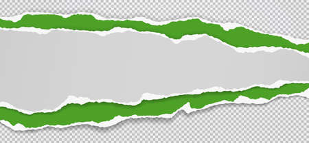 Torn, ripped pieces of horizontal white and green paper with soft shadow are on squared grey background for text. Vector illustration.のイラスト素材