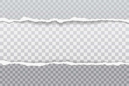 Pieces of torn grey paper with soft shadow stuck on white squared background. Vector illustrationのイラスト素材