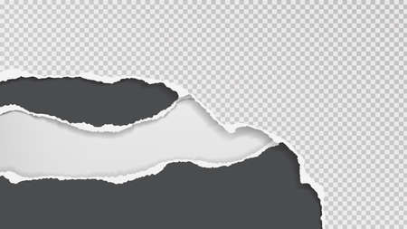 Pieces of torn, ripped black and white paper with soft shadow are on squared background for text. Vector illustrationのイラスト素材