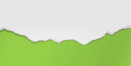 Piece of torn white paper with soft shadow stuck on green background. Vector illustration.のイラスト素材