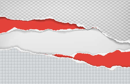 Pieces of torn and horizontal white squared and red paper with soft shadow are on white background for text. Vector illustrationのイラスト素材