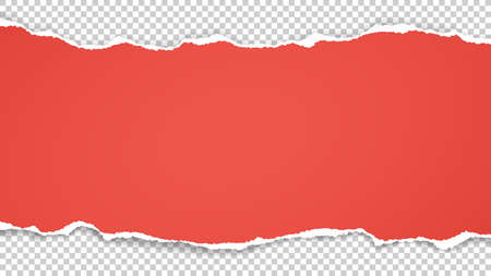 Torn of red paper is on white transparent background for text, advertising or design. Vector illustrationのイラスト素材