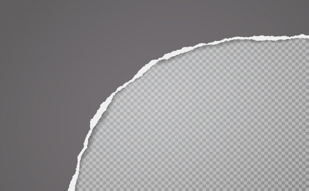 Torn, ripped dark grey grey paper strip with soft shadow is on squared background for text. Vector illustrationのイラスト素材