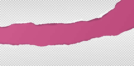 Torn, ripped squared paper strips with soft shadow are on violet background for text. Vector illustrationのイラスト素材