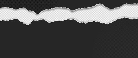 Black paper strips with torn edges and soft shadow are on squared background for text or ad.のイラスト素材