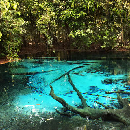 Emerald pool in krabi Thailandの写真素材