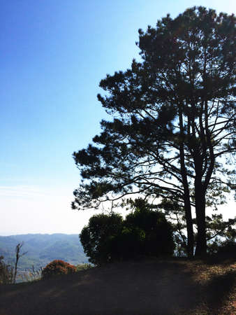 Hill in khao khoの写真素材