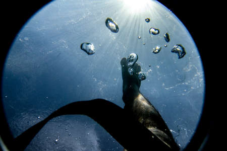 Underwater, feet pointing towards the surface. Dove into the water with my DSLR and firing a photograph looking up.の写真素材