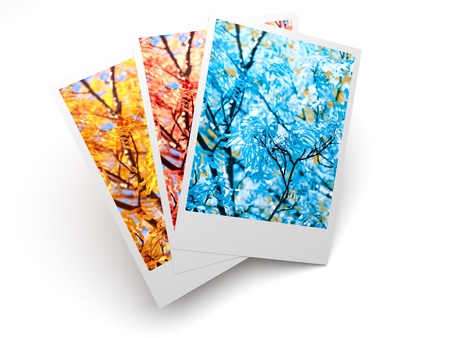 Photography, isolated.  3D illustration on white background の写真素材