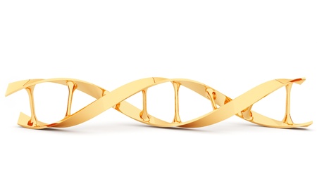 Gold DNA. 3d illustration, isolated on white backgroundの写真素材