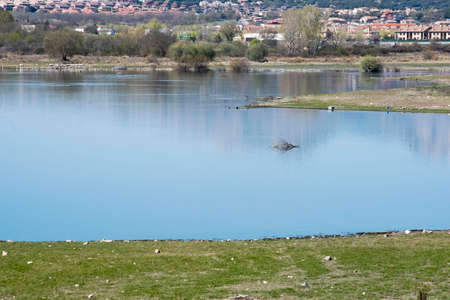 The reservoir of Pedrezuela or Vellón, located in Guadalix de la Sierra. Madrid's community. Spain.の写真素材