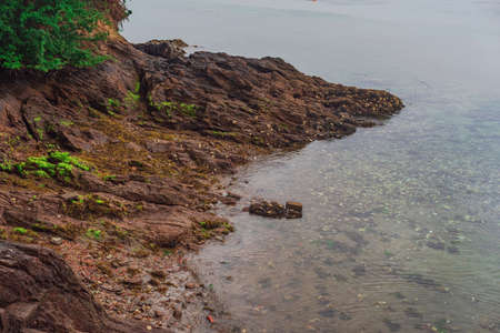 Shore of the sea in the estuary of Ortigueira. Sweetie. The Coruna. Spain. Europe