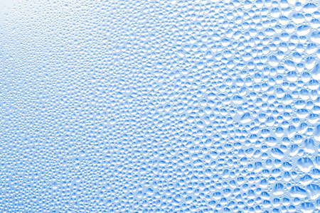 Gradient of dew dropletsの写真素材