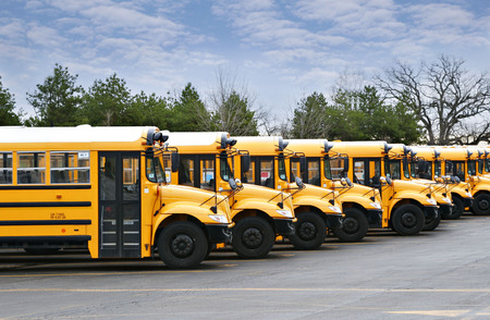 line of yellow school buses ready to goの写真素材