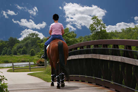 mid-age female horse ridder crossing bridgeの写真素材