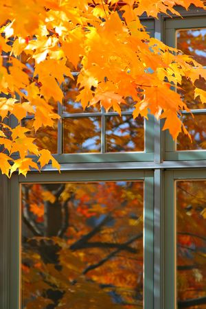 Autumn Color Reflection on the Window