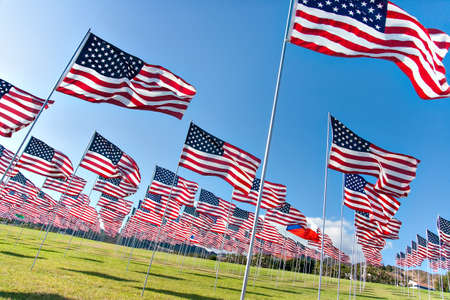 American flags displaying on Memorial Day los angelesの写真素材