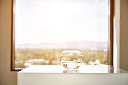 Round vase with beautiful flower, interior decor.の写真素材