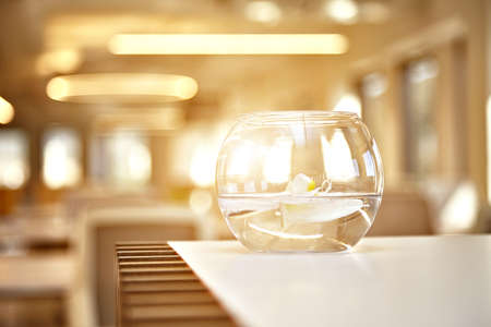 Round vase with beautiful flower, interior decor.の写真素材