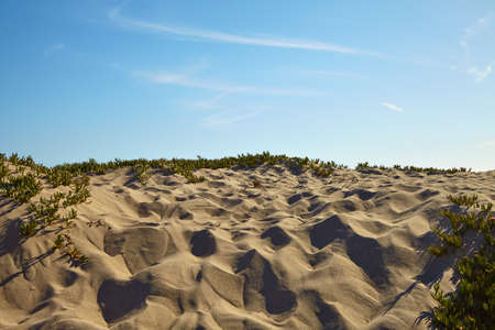 Small sand dunes on beach. Sand texture