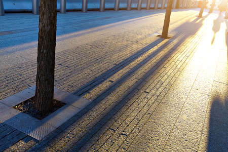 shadows of people walking in a park.の写真素材