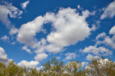 Beautiful clouds are moving against the blue sky.