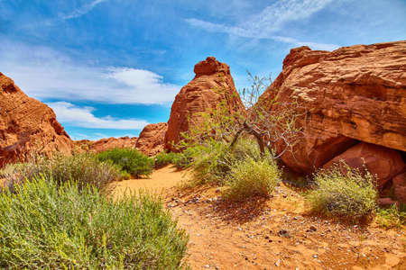 Incredibly beautiful landscape in Southern Nevada, Valley of Fire State Park, USAの写真素材