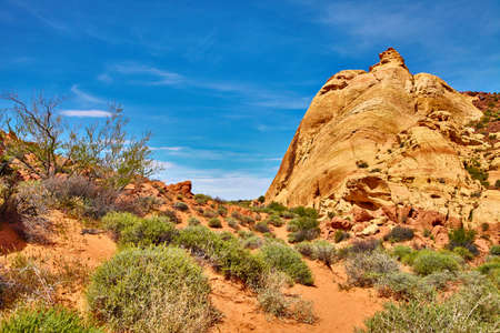 Incredibly beautiful landscape in Southern Nevada, Valley of Fire State Park, USAの写真素材