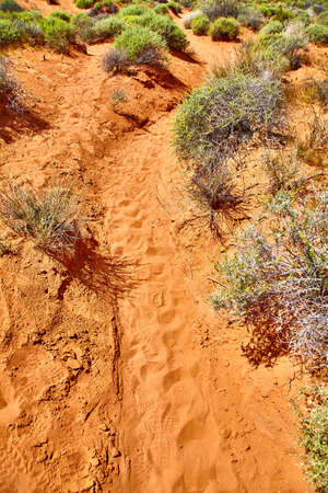 Incredibly beautiful landscape in Southern Nevada, Valley of Fire State Park, USA