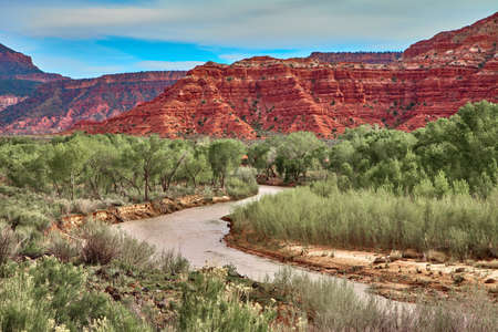 Incredibly beautiful landscape in Zion National Park, Washington County, Utah, USAの写真素材