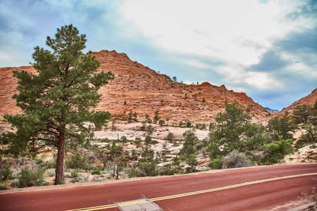 Incredibly beautiful landscape in Zion National Park, Washington County, Utah, USAの写真素材