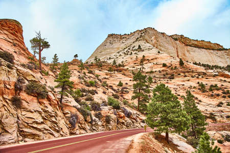 Incredibly beautiful landscape in Zion National Park, Washington County, Utah, USAの写真素材
