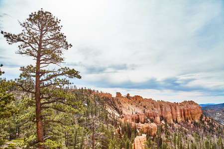 Incredibly beautiful landscape in Bryce Canyon National Park, Utah, USAの写真素材