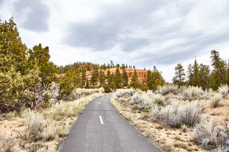 Incredibly beautiful landscape in Bryce Canyon National Park, Utah, USA