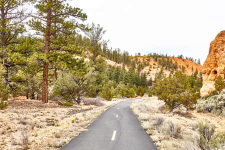 Incredibly beautiful landscape in Bryce Canyon National Park, Utah, USAの写真素材