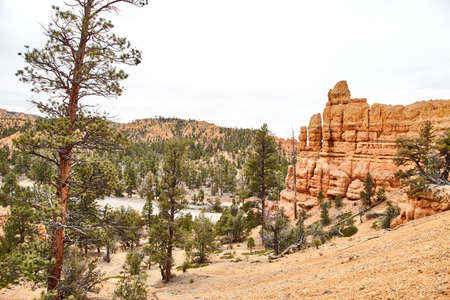 Incredibly beautiful landscape in Bryce Canyon National Park, Utah, USAの写真素材