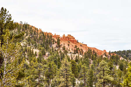 Incredibly beautiful landscape in Bryce Canyon National Park, Utah, USAの写真素材