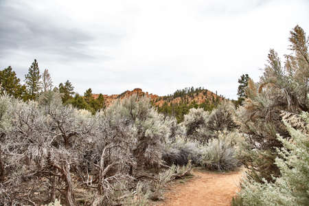 Incredibly beautiful landscape in Bryce Canyon National Park, Utah, USAの写真素材
