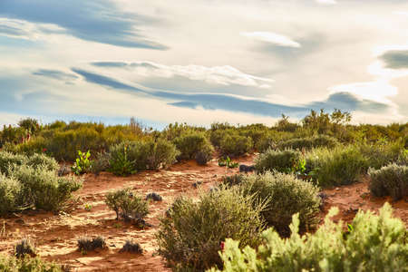 Incredibly beautiful landscape in National Park, Arizona USAの写真素材